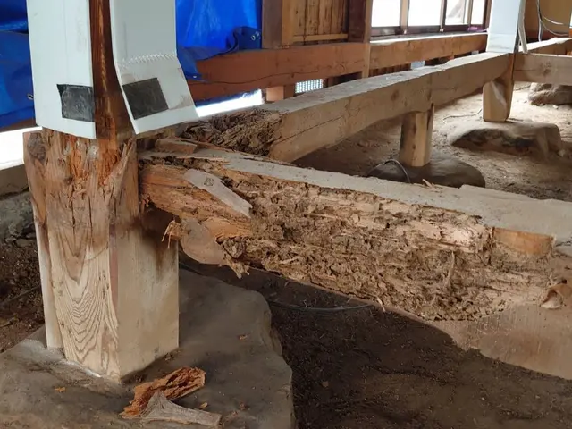 滋賀県シロアリ駆除★自社作業の為価格は安く設定!5年間アフターサービス★サービスの画像