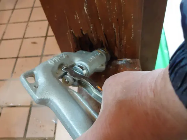 滋賀県シロアリ駆除★自社作業の為価格は安く設定!5年間アフターサービス★サービスの画像