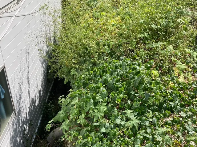 プロの技術でご満足いただけるように心を込めて作業いたしますサービスの画像