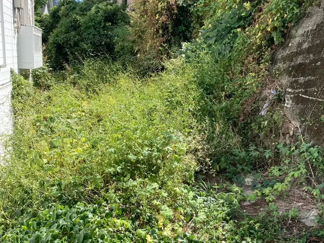 プロの技術でご満足いただけるように心を込めて作業いたしますサービスの画像