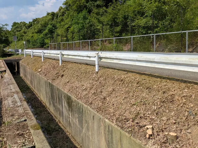 庭木の伐採、抜根サービスの画像