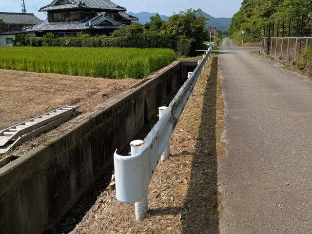 庭木の伐採、抜根サービスの画像