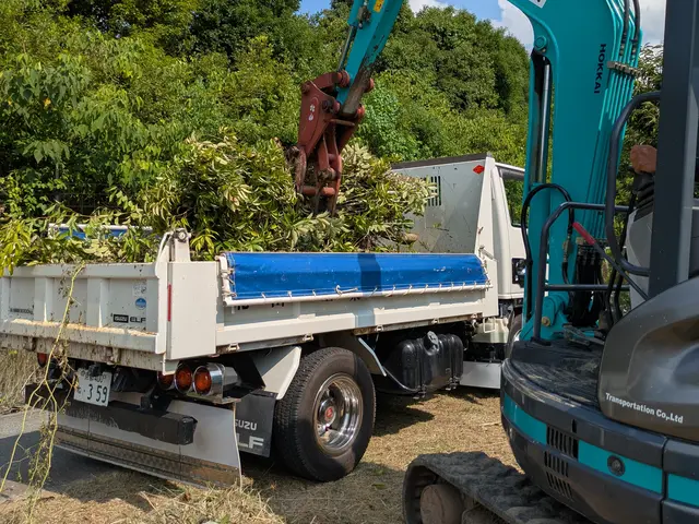 庭木の伐採、抜根サービスの画像