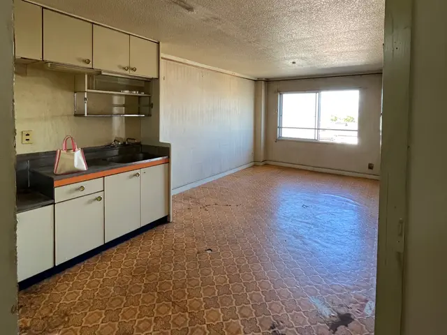 普段は一軒家丸ごとお片付けする事が多いですが、一回どんなものか気になり登録しましサービスの画像