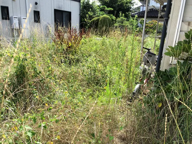 ◎草刈り【土日祝対応】雑草でお困りの方はお気軽にご相談ください。素早く作業！サービスの画像