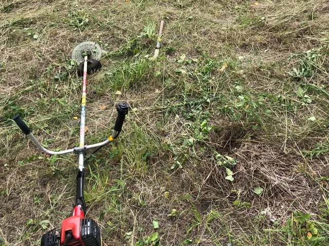 ◎草刈り【土日祝対応】雑草でお困りの方はお気軽にご相談ください。素早く作業！サービスの画像