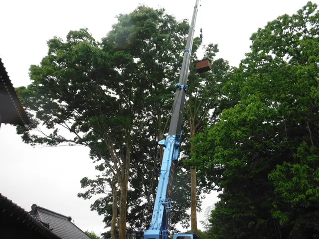 茨城の庭木伐採・抜根は昭和55年創業の便利屋レッツにお任せ下さいサービスの画像