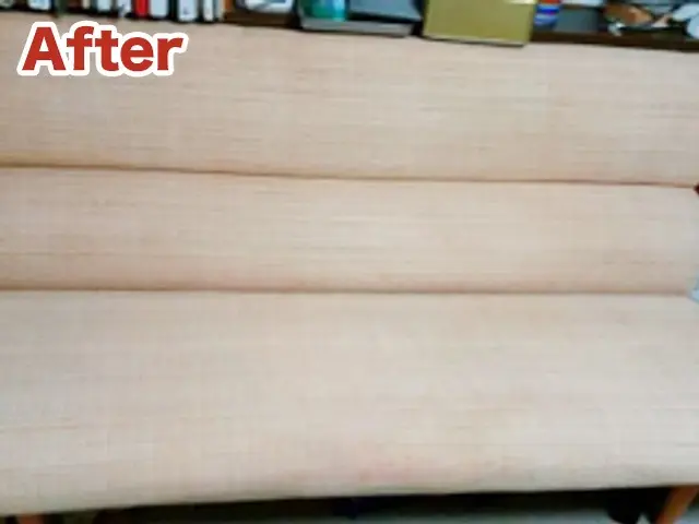 ☆カレンダー空き確認下さい☆嫌な臭いやシミも除去致します！【ソファクリーニング】サービスの画像