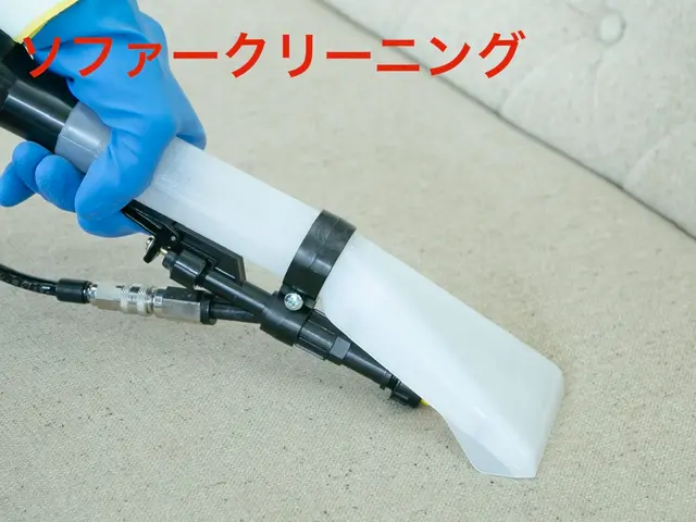 ☆カレンダー空き確認下さい☆嫌な臭いやシミも除去致します！【ソファクリーニング】サービスの画像