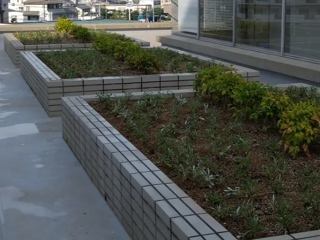 植栽お任せください。。料金表はあくまで目安です。複数であれば値引します。サービスの画像