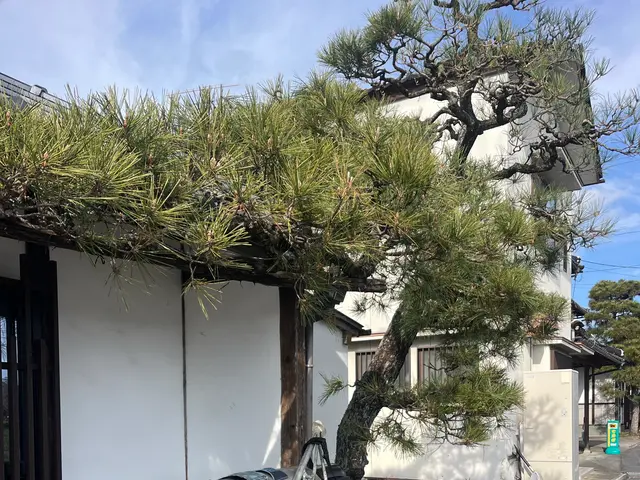 ＜業界10年の豊富な経験あり◎＞私がお伺いします！対応地域外の方も相談可能サービスの画像