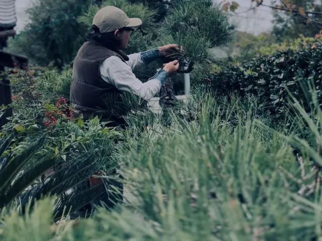 ＜業界10年の豊富な経験あり◎＞私がお伺いします！対応地域外の方も相談可能サービスの画像