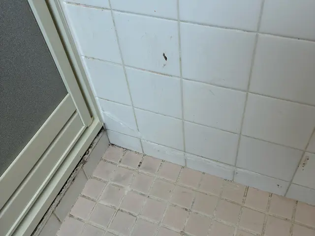 •	壁を壊さず、たった1日で浴室ドア交換　材料込みの値段ですサービスの画像