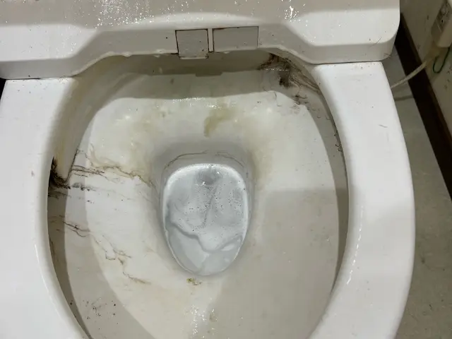 夫婦仲良くお伺い致します◎作業外注なし◎損保加入◎駐車場代当店負担◎サービスの画像