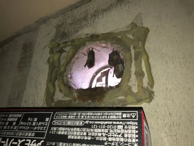 【注目( • ̀ω•́ )っ】国家資格保有プロが行う再発なしの「コウモリ駆除」サービスの画像