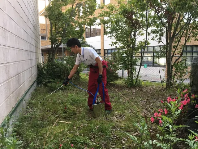 【注目( • ̀ω•́ )っ】国家資格保有プロが行う再発なしの「コウモリ駆除」サービスの画像