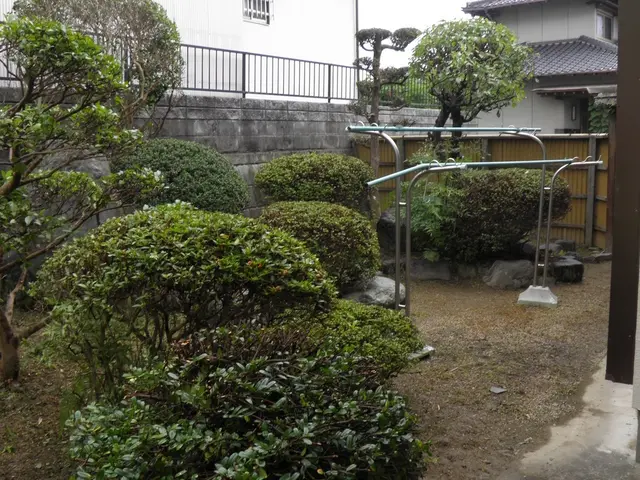 【業界一筋！！】お庭がきれいだと気持ちも明るくなりませんか？サービスの画像