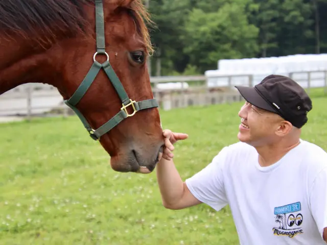 出張撮影・カメラマン / ペットサービスの画像