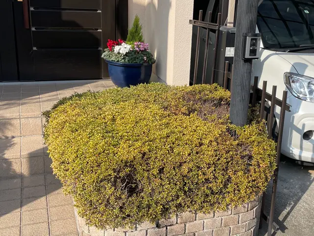 《有料P代全額負担》お庭のお困りごとをスッキリ解決！仕上がり保証ありで安心◎サービスの画像