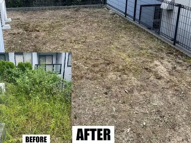 【女性スタッフ同行可】◎雑草を丁寧にむしりとります！【背の高い雑草歓迎】サービスの画像