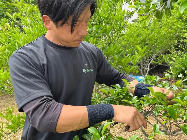 お庭のお手入れサービスです♪ 丁寧で優しいサービスを提供します！サービスの画像