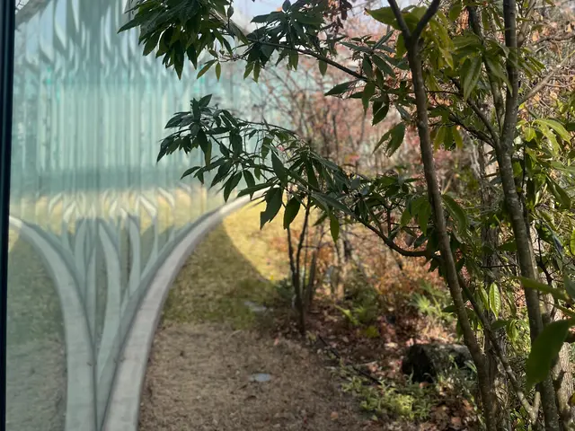 お庭のお手入れサービスです♪ 丁寧で優しいサービスを提供します！サービスの画像