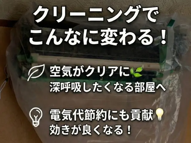 最短5/19  午後15時〜早い丁寧★5多数！ ペイペイ可（クーポンも使えます）サービスの画像