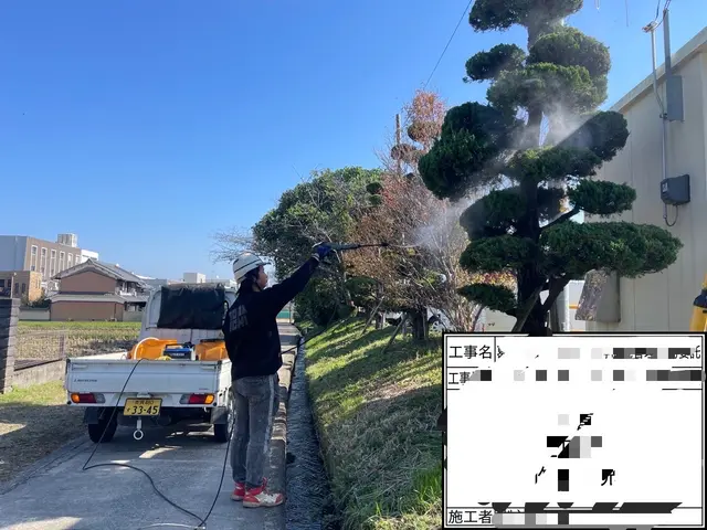 地域密着型！お庭の植木の散髪をしませんか？サービスの画像