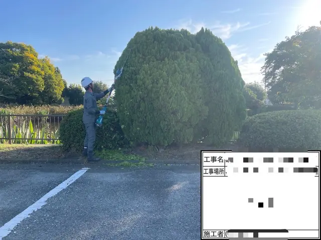 地域密着型！お庭の植木の散髪をしませんか？サービスの画像