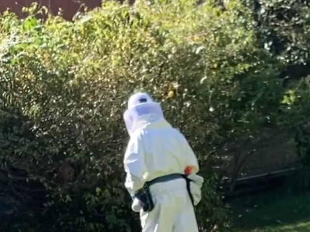 【ハチの駆除なら当店にお任せ！】クレカ、PayPay対応★忌避剤★即日対応サービスの画像