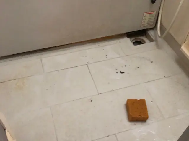 【完全自社】汚れがつきやすい水回りおまとめセットです！！サービスの画像