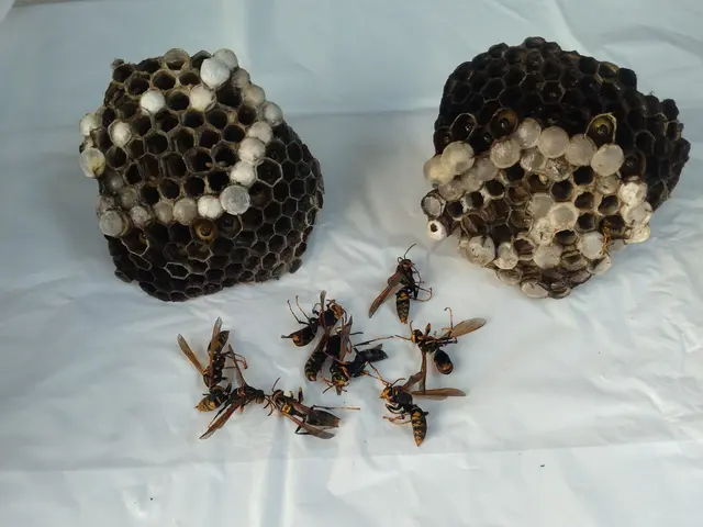 【年中無休・24時間対応】業歴20年以上！経験豊富なスタッフが解決します！サービスの画像