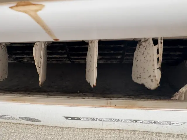 ◉非喫煙◉代表者が対応◉笑顔で対応します◉黒カビ徹底除去サービスの画像