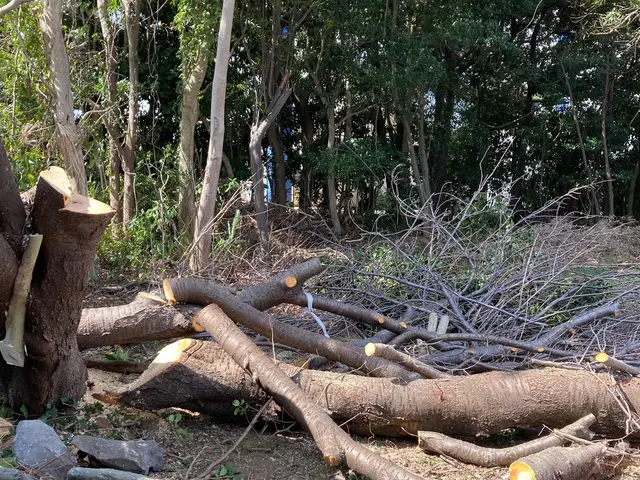 クレジットカード払いOK。 太くなってしまった木もご相談ください。サービスの画像