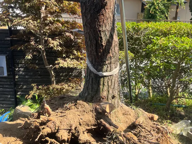 クレジットカード払いOK。 太くなってしまった木もご相談ください。サービスの画像