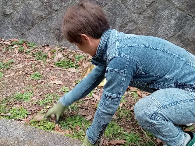 隅々まで綺麗に草むしりを致します！面倒くさいお庭の草むしりもお任せ下さい！サービスの画像