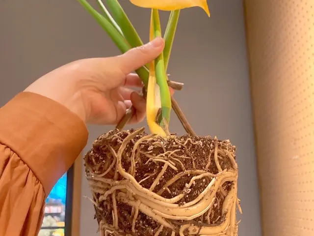 【業歴19年の実績】お花屋さんが対応します。5/4-13はお休みサービスの画像