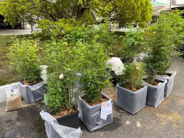 【業歴19年の実績】お花屋さんが対応します。5/4-13はお休みサービスの画像