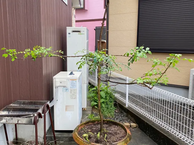 ◆職人歴10年◆一級造園施工管理者技能経験あり◆駐車代お店負担◆親切丁寧！サービスの画像