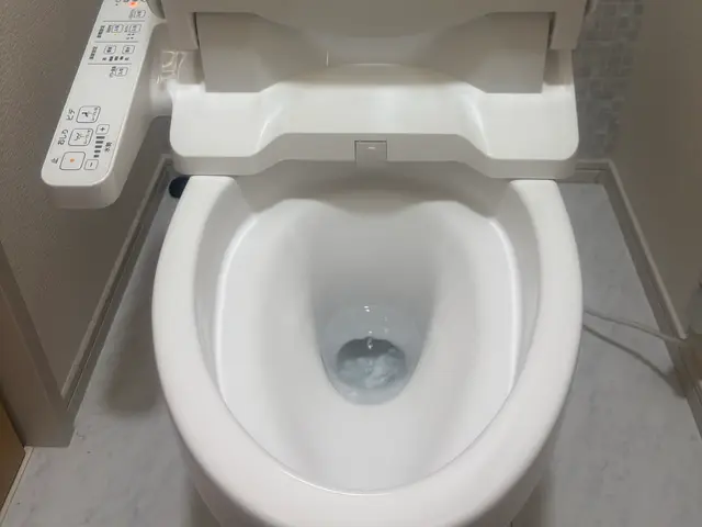 ハウスクリーニング/在室・空室サービスの画像