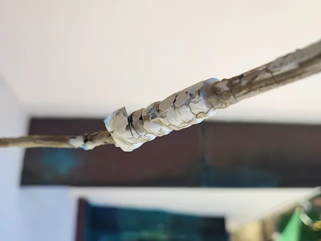 【高所作業費・調査費込み】シンプルな料金体系◎即日復旧◎アワード3年連続入選◎サービスの画像