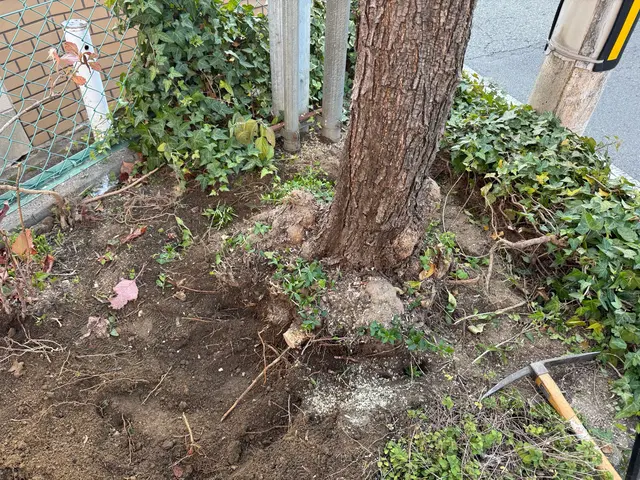 【くらマアワード2025受賞】◆まとめて割引◆作業後の追加料金なし◆高リピート率サービスの画像