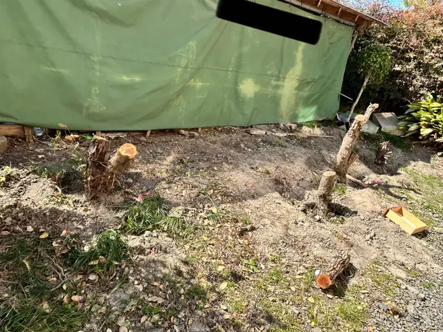 【まとめて割引あり】最短当日、土日祝対応◆作業後の追加料金なし◆高いリピート率サービスの画像