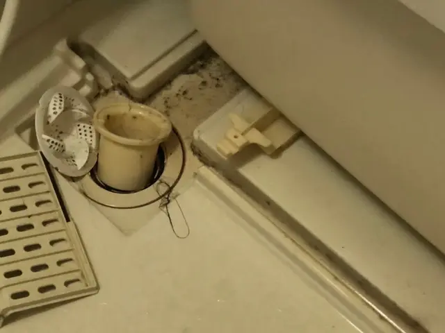 お風呂のお掃除お任せ下さい！鏡・窓もクリーニングに含みます！サービスの画像