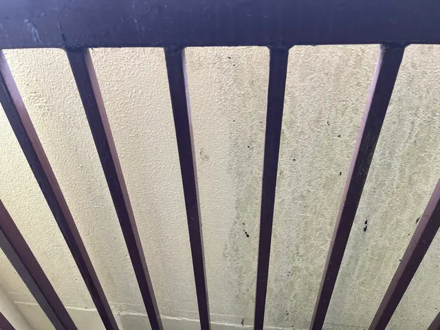 外構、駐車スペース高圧洗浄サービスの画像