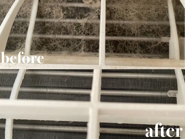 ◆11月中のご注文ナノソル抗菌コートサービス◆ 地域密着＆安心のサービスをご提供サービスの画像