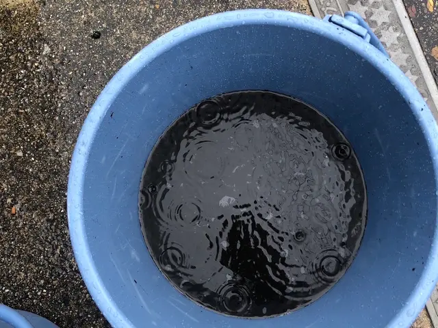 ◆11月中のご注文ナノソル抗菌コートサービス◆ 地域密着＆安心のサービスをご提供サービスの画像