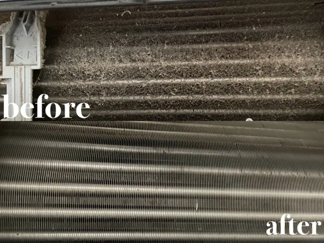 ◆11月中のご注文ナノソル抗菌コートサービス◆ 地域密着＆安心のサービスをご提供サービスの画像