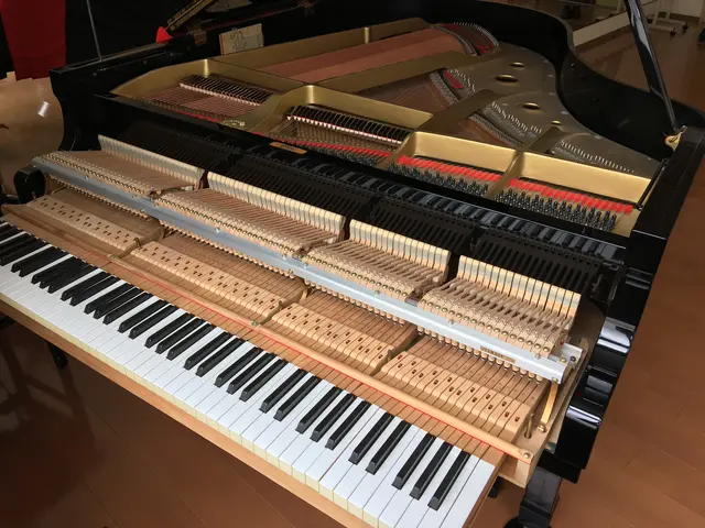 ♪姫路を拠点に1979年よりピアノ調律しております♪調律後ジャズ生演奏します!サービスの画像