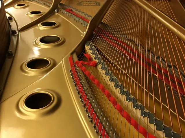 ♪姫路を拠点に1979年よりピアノ調律しております♪調律後ジャズ生演奏します!サービスの画像